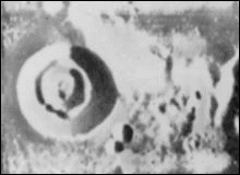 Anomalisa Lunares