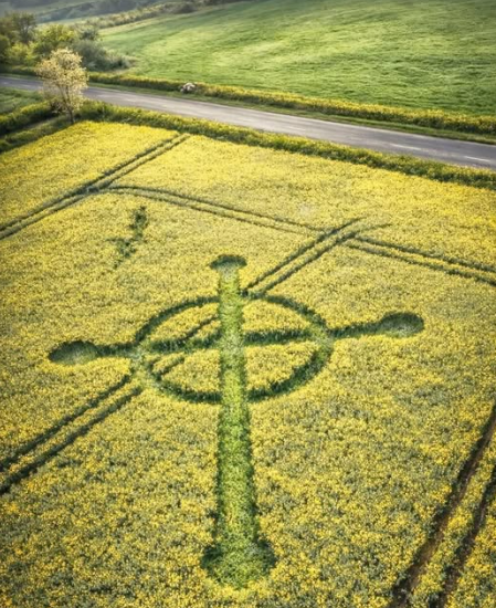 Primeiro círculo no trigo de 2026