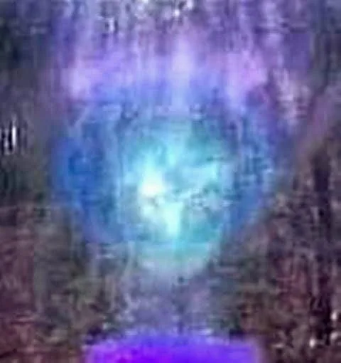 Entidade espiritual Arcturus, Shamina