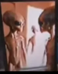 Seres visitam quarto de teólego.