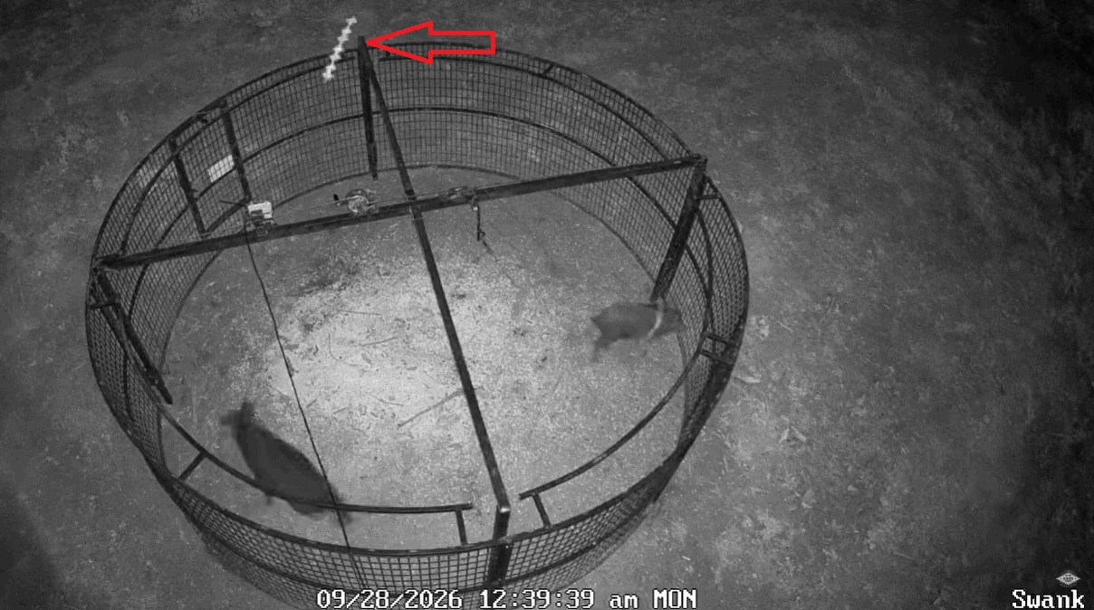 Vareta voadora em Oklahoma